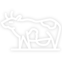 Cow icon