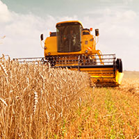 Combine harvesting grain in field.
